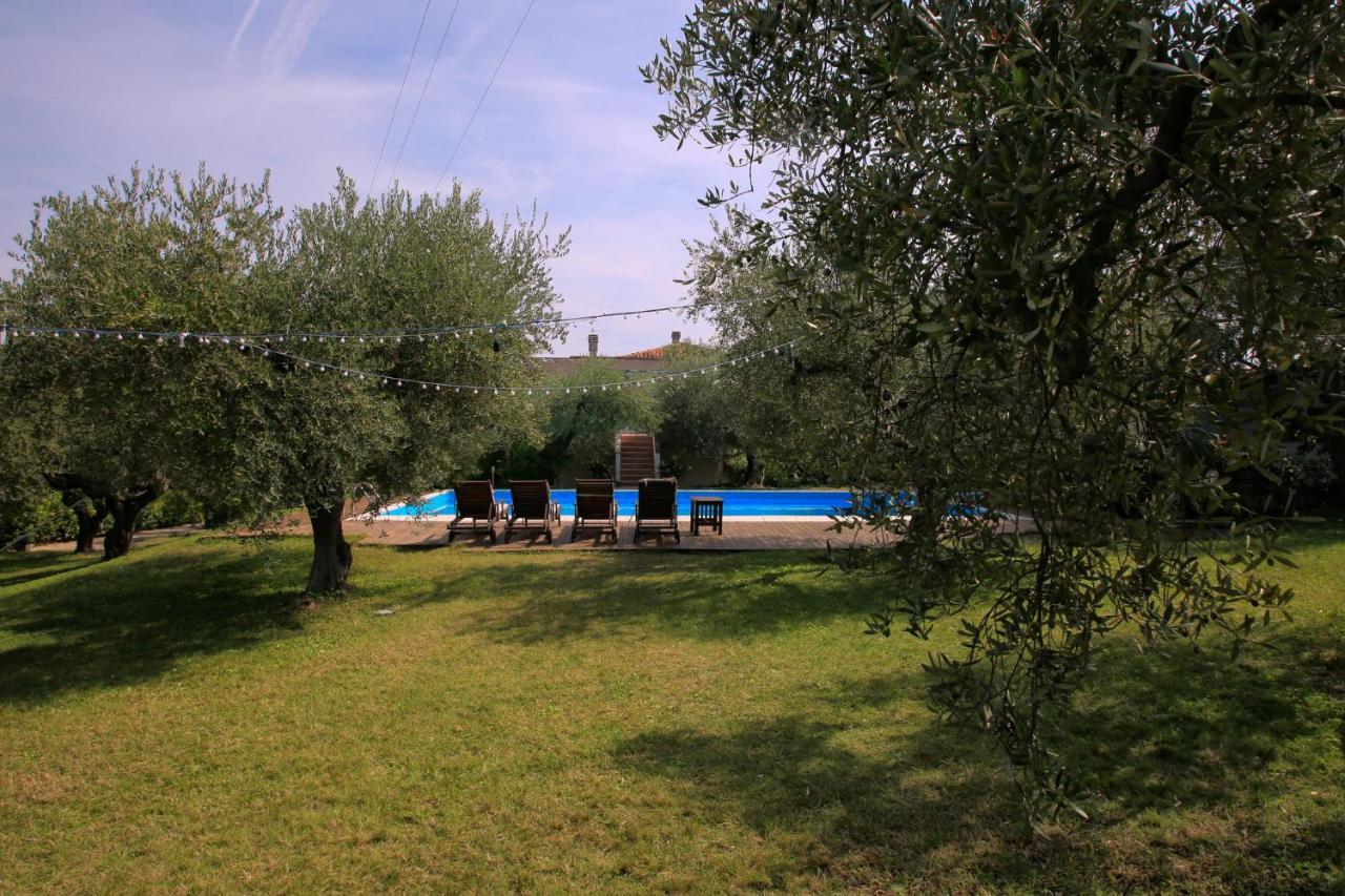 B&B Arli Torrevecchia Teatina エクステリア 写真