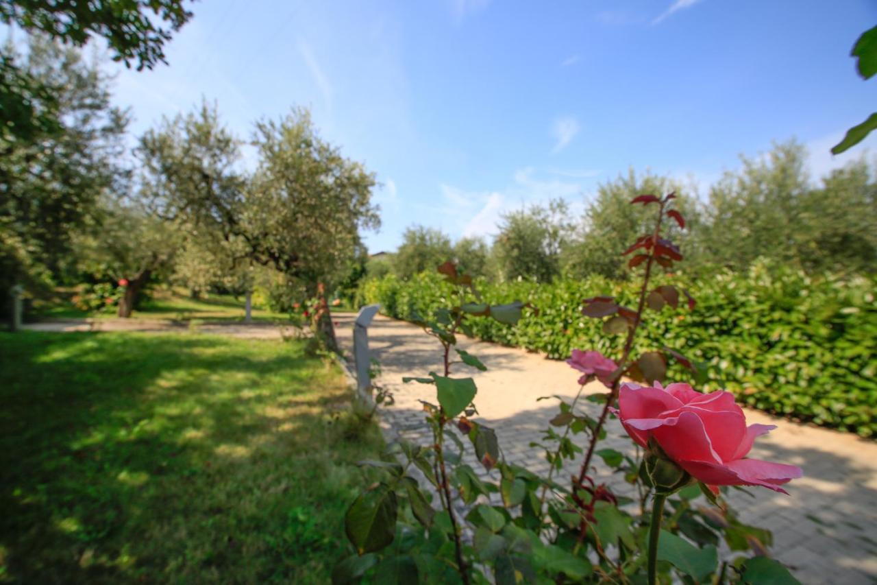 B&B Arli Torrevecchia Teatina エクステリア 写真